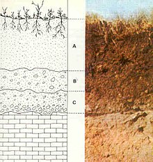 A, B och C representerar markprofilen; A är matjord, B är lös jord, C är vittrat berg och det nedersta lagret är berggrunden.  