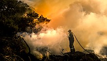 Combattere l'incendio del bush in Sudafrica