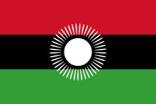 Bingu's vlag (2010-2012)
