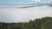 Fog in a valley near Bouchegouf, Guelma province (Algeria)