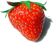 Owoc truskawki: "nasiona" pochodzą z słupka kwiatu.