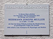 Placa comemorativa a H.J. Muller em Berlim-Buch.