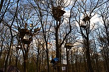 Case sull'albero per protestare contro l'abbattimento di parte della foresta di Hambach per la miniera di superficie di Hambach in Germania: dopo di che l'abbattimento è stato sospeso nel 2018