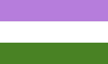Genderqueer Pride flag , 2011 designed by Marilyn Roxie: - lavender for androgynous, queer (m ↔ w) - white for asexuals (agender) - green for people outside the binary.