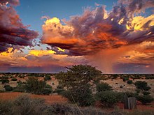 Thunderstorm in the Kalahari near Stampriet, Namibia