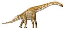 Live reconstruction of giraffatitan