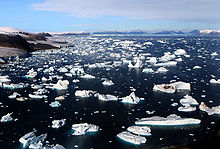 Góry lodowe odrywające się od lodowców na Przylądku York, Grenlandia