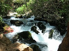 The Banyas, one of the headwaters of the Jordan River