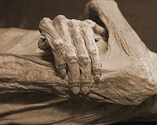 Detail of a mummy from Guanajuato (Mexico)
