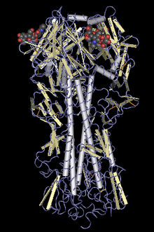 Förenklad modell av ett protein som finns på influensavirusets yta.  