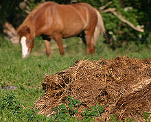 家畜の糞尿は、家畜の糞と敷き藁を混ぜたものが多い。