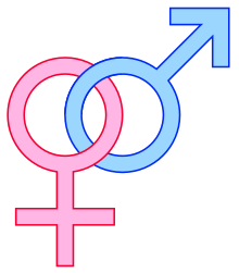 De geslachtssymbolen die vaak worden gebruikt om een vrouw (links) of man (rechts) voor te stellen  