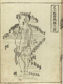 Guideway plate in a Japanese edition of Hua Shou's Shisi jing fahui, Edo 1716