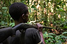 Congolese man with rifle hunting near Yangambi