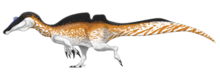 Restauração especulativa da vida do Ichthyovenator laosensis, a cabeça e os membros são baseados em parentes
