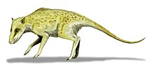 Rekonstrukcija vrste Indohyus