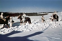 Finnish cavalry in Karelia, spring 1942.