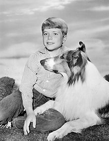Provost e Lassie em 1962