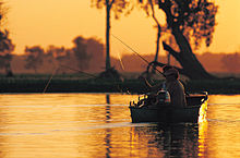 Pesca no billabong da Água Amarela