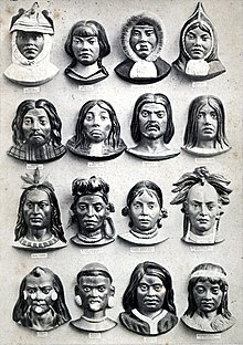 Nel 19° secolo era comune classificare le persone per razza. Questo mostra una tale classificazione; basata sul lavoro di Karl Ernst von Baer, 1862