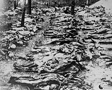 Exhumed victims in Katyn (April 1943)