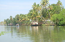 In the backwaters of Kerala