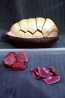 Nuez de cola - vaina (con semillas dentro de su testa blanca), y semillas (enteras sin testa y divididas en cotiledones).  