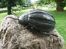 Rzeźba z brązu przedstawiająca chrząszcza z Kolorado w Hédervár, Węgry