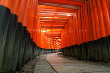 Veel torii dicht bij elkaar bij de Fushimi Inari Shinto in Kyoto  
