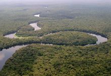 The Lulilaka River in Salonga National Park