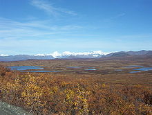 Aļaskas kalnu grēdas ezeri un virsotnes, kas redzamas no Denali šosejas