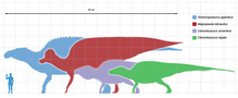 Dimensions des plus grands ornithopodes