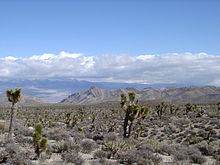 Typical desert landscape around Las Vegas