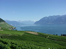 Lake Geneva and the Lavaux wine region