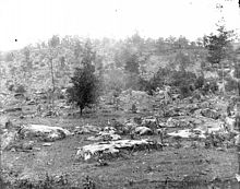 West slope of Little Round Top, photograph by Timothy H. O'Sullivan, 1863.