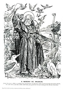 Punchin pilapiirros, jossa lordi Aveburya kuvataan nykypäivän Pyhänä Fransiskuksena, kun Plumage Importation Bill -lakiehdotuksesta keskusteltiin.  