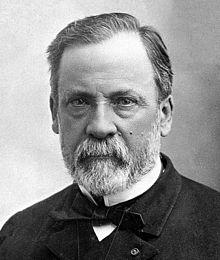 Louis Pasteur was the first to isolate acetic acid bacteria and brewer's yeast.