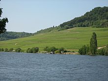 Vinmarker i Moseldalen i nærheden af Machtum, Wormeldange