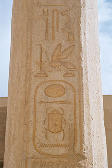 Praenomen i Thutmose II:s kartusch föregånget av symboler av vass och bin, Hatschepsuts tempel, Luxor.  