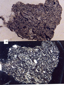 Een fragment felsisch vulkanisch gesteente, gezien onder een petrografische microscoop. De schaalverdeling is in millimeters
