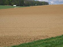 Loess field na Alemanha (loess é pó soprado pelo vento que é, em sua maioria, lodo)