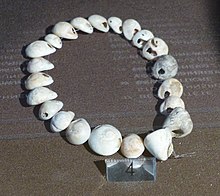 Een halsketting gereconstrueerd uit zeeslakkenhuizen gedateerd tussen 39.000 en 25.000 v. Chr.  