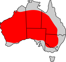 Waar rode kangoeroes leven  