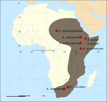 Kaart varaste australopitheciinide fossiilide leiukohtade kohta Aafrikas