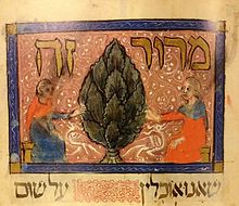 Depiction of an artichoke in the Rylands Haggadah (narrative and instructions for the Seder on Erev Pesach, the eve of the festival of the liberation of the Israelites from Egyptian slavery). The manuscript was named after the John Rylands Library in Manchester.