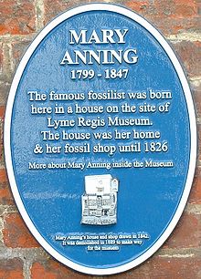 Tato modrá pamětní deska je připevněna na místě, kde se pravděpodobně nacházel dům, v němž se Mary Anningová narodila a kde měla svůj první obchod s fosiliemi a kde se v současnosti nachází muzeum Lyme Regis.