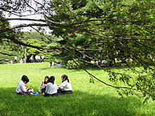 Picknick bij het Meiji heiligdom in Tokio  