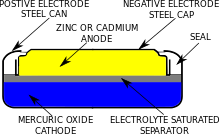 Structure of a cell