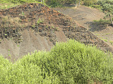 Outcrop of the Messel oil shale, perto do centro do poço.