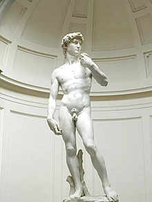 Het standbeeld van David is een van de beroemdste werken van de Renaissance.  